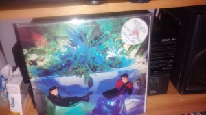 IMG_20150630_204759257